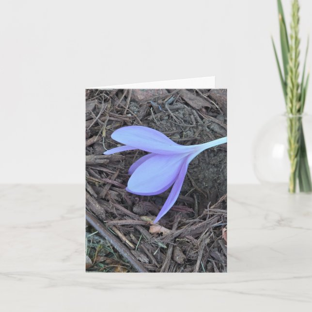 Carte pour notes vierge, photo originale, crocus (Devant)
