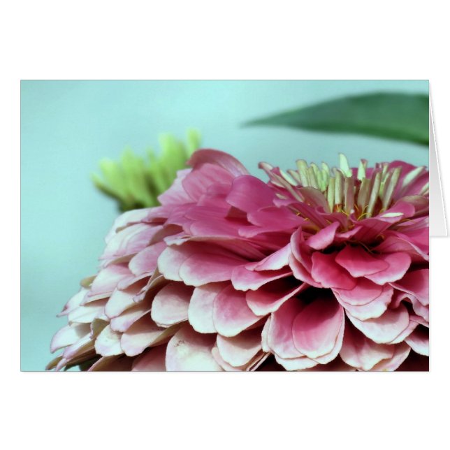 Carte pour notes - Zinnia Petals (Devant Horizontal)