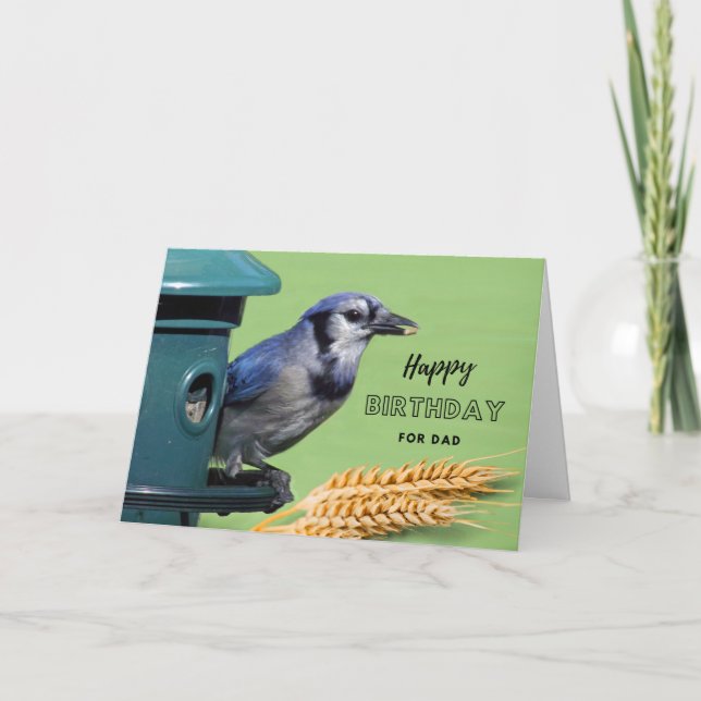 Carte Pour papa Anniversaire avec Jay Bleu à Feeder (Devant)