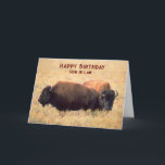 Carte Pour Son en droit Anniversaire avec une paire de b<br><div class="desc">Voeux d'anniversaire pour un beau-fils,  gendre avec une paire de bisons sur la prairie entourée de hautes herbes. Copyright © Shoaff Ballanger Studios,  2023.</div>