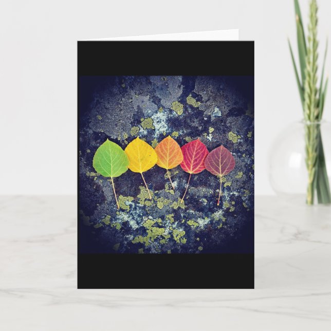 carte pour tous et toutes les saisons (Devant)