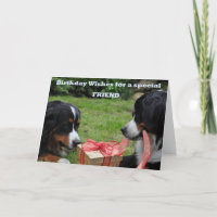 Pour un ami spécial