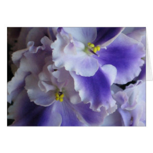 Carte pour violets africains