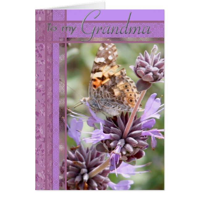Carte pourpre de couleur avec Butterly pour la (Devant)