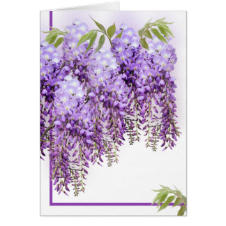Carte pourpre de glycines