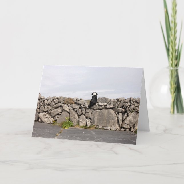 Carte Poursuivez se reposer sur un mur en pierre (Devant)