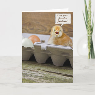 Carte Poussin D Anniversaire Dans Le Carton D Oeufs De Zazzle Fr