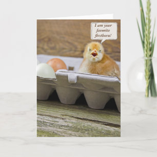 Carte Poussin d'anniversaire dans le carton d'oeufs de