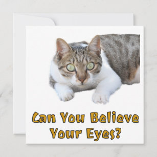 Carte Pouvez-Vous Croire Vos Yeux Mignonne Cat Art