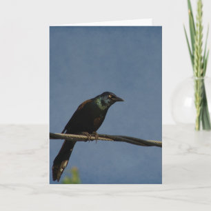 Carte Pouvoir déchaîné, Joyeux anniversaire