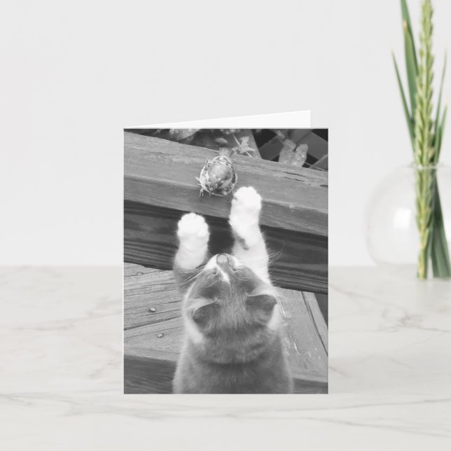 Carte Pouvons-nous être AMIS ? (Devant)