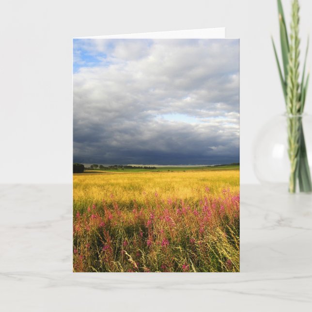 Carte prairie de fleurs sauvages (Devant)