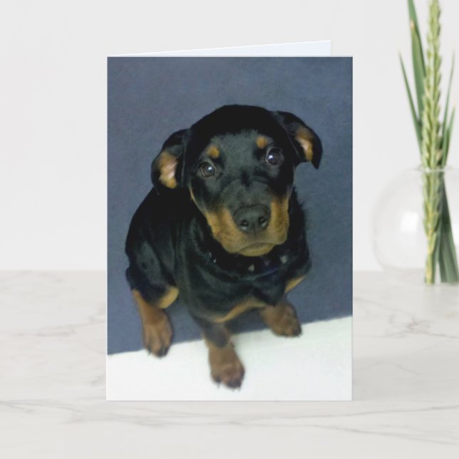 Carte Precieux Rottweiler Puppy Blank Greeting Card (Devant)