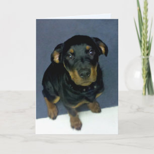 Carte Precieux Rottweiler Puppy Blank Greeting Card