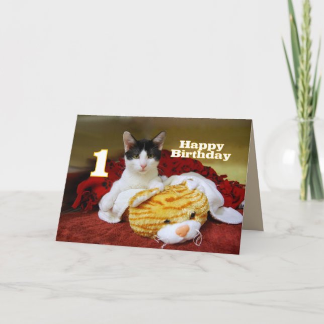 Carte Premier Kitten d'anniversaire avec Tiger de Jouet (Devant)