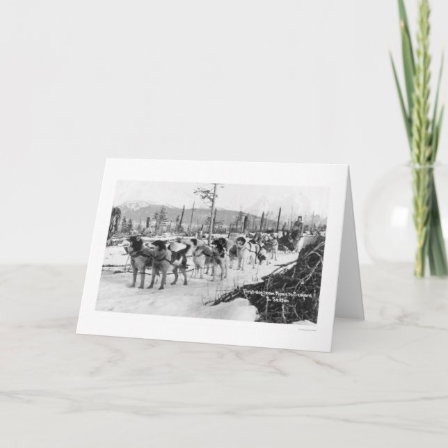 Carte Première équipe Alaska 1910 de chien (Devant)