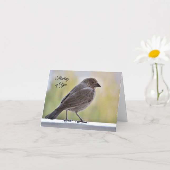 Carte Près de mon cœur et dans mes prières - Pensées pou (Petite plante)