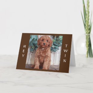CARTE PRÊT À "CÉLÉBRER L'ANNIVERSAIRE DE MON JUMEAU"