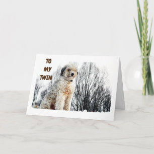 CARTE PRÊT À ENTENDRE QUE MON JUMEAU A "LE MEILLEUR ANNI