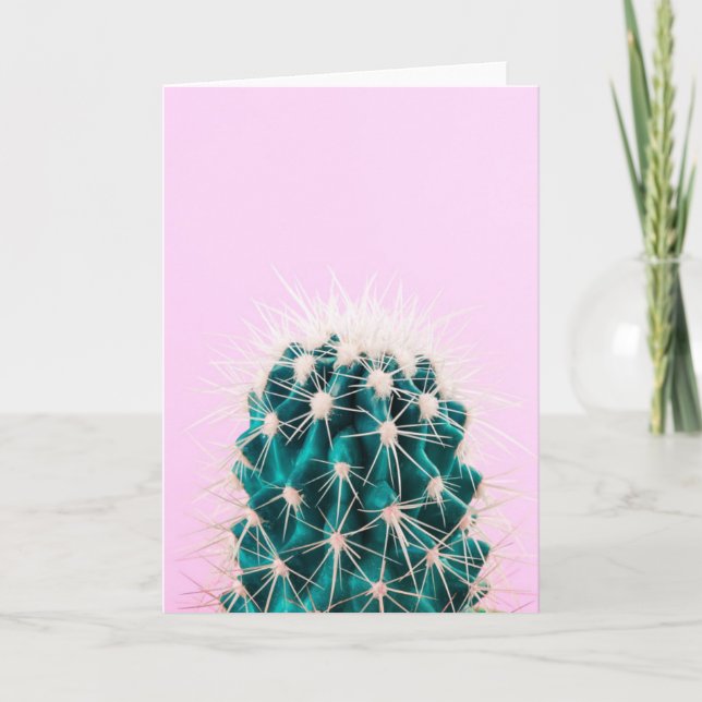 Carte Prickley Cactus sur rose (Devant)