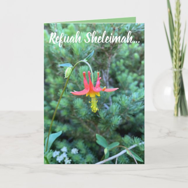 Carte Prière de guérison, Refuah Sheleimah (Devant)