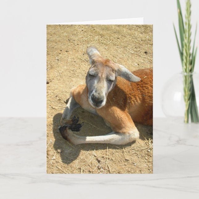 Carte prière de kangourou (Devant)