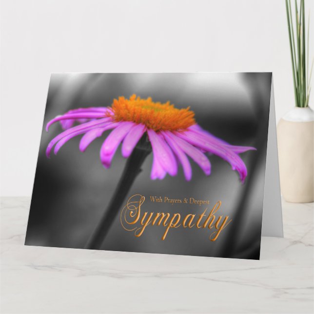 Carte Prières et sympathie Coneflower orange pourpre (Devant)