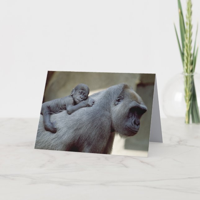 Carte Primates de la vie sauvage (Devant)