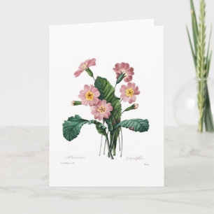 Carte Primula