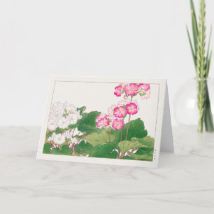 Carte Primula par Tanigami Konan