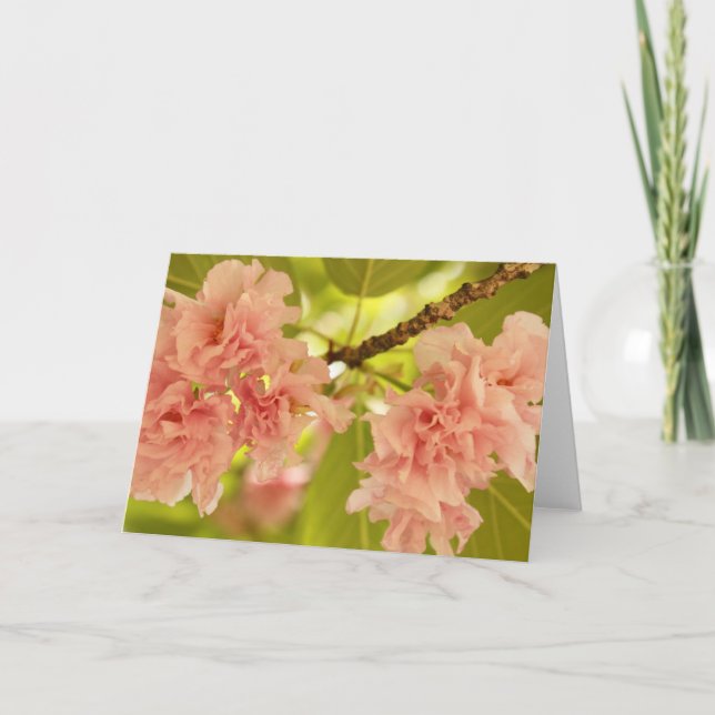 Carte Printemps (Devant)