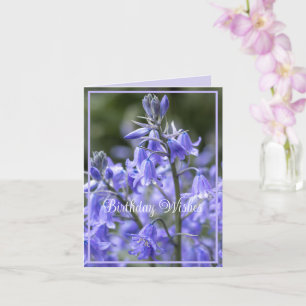 Carte Printemps Bluebells après la pluie Anniversaire