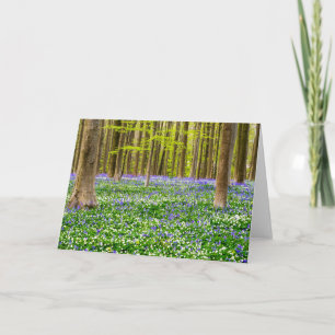 Carte Printemps dans la forêt bleue