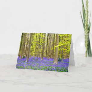 Carte Printemps dans la forêt bleue