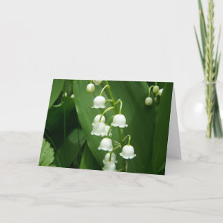 Carte Printemps Dans Le Maine