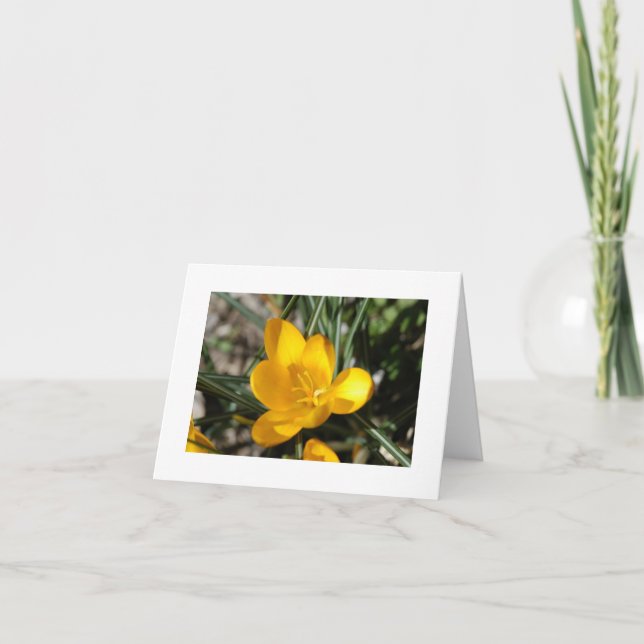 Carte Printemps de bienvenue (Devant)