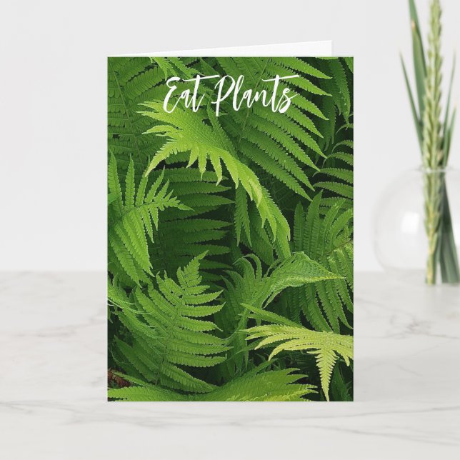 CARTE PRINTEMPS GREEN FERN PHOTO GREETING CARD (Devant)