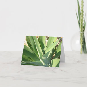 Carte Prise d'assaut du Sun v2