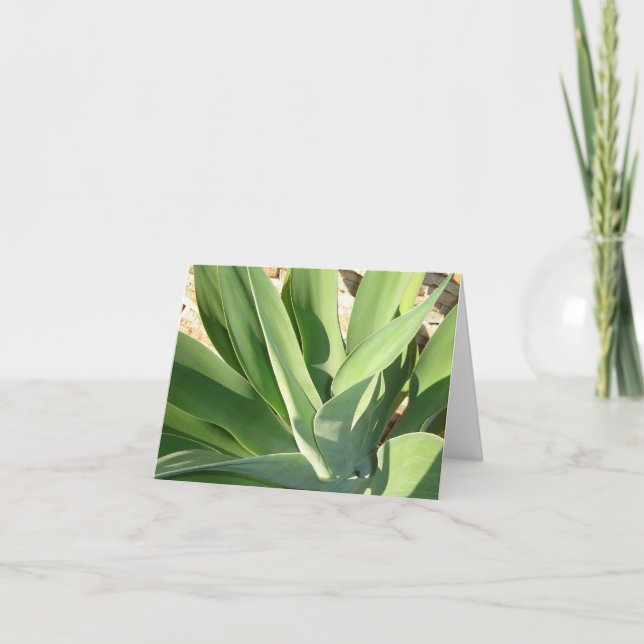 Carte Prise d'assaut du Sun v2 (Devant)