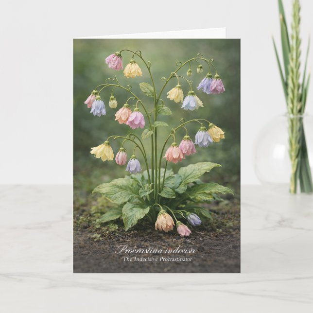 Carte Procrastina indecisa The Indecisive Procrastinator (Devant)