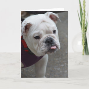 Carte Produit de personnaliser