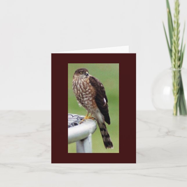 Carte Profil parfait (Devant)