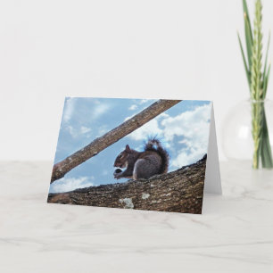 Carte Profiter d'une noix