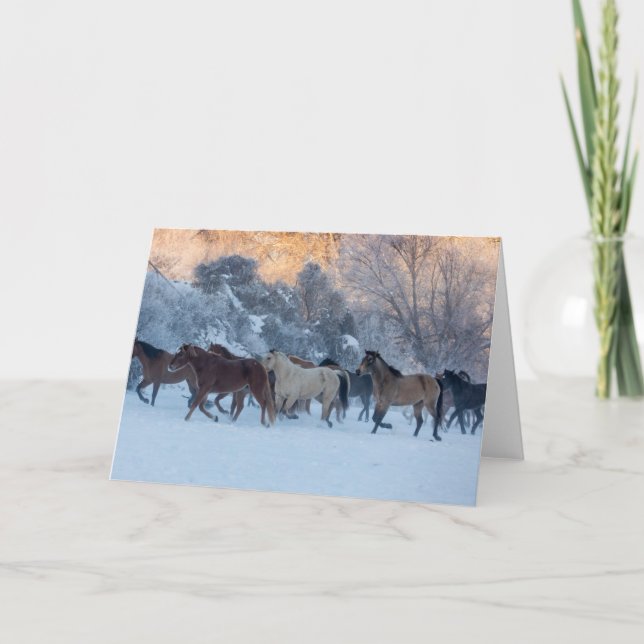 Carte Promenade à cheval en hiver sur Hideout Ranch (Devant)