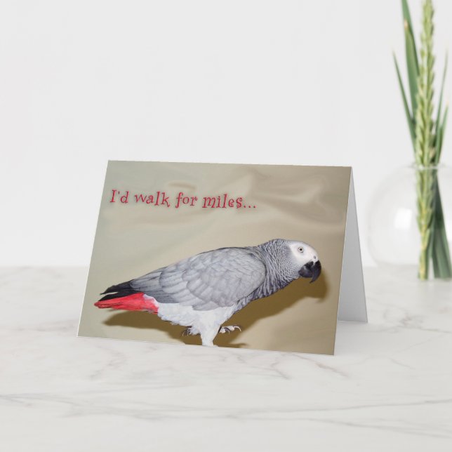 Carte Promenade d'anniversaire des milles (Devant)