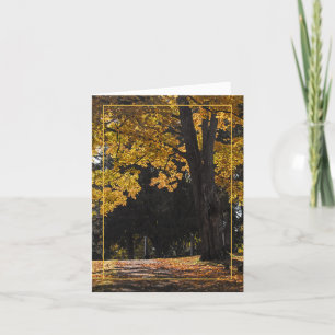 Carte Promenade du coucher du soleil