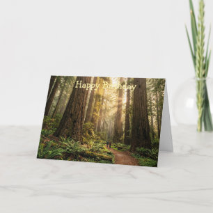 Carte Promenade en forêt