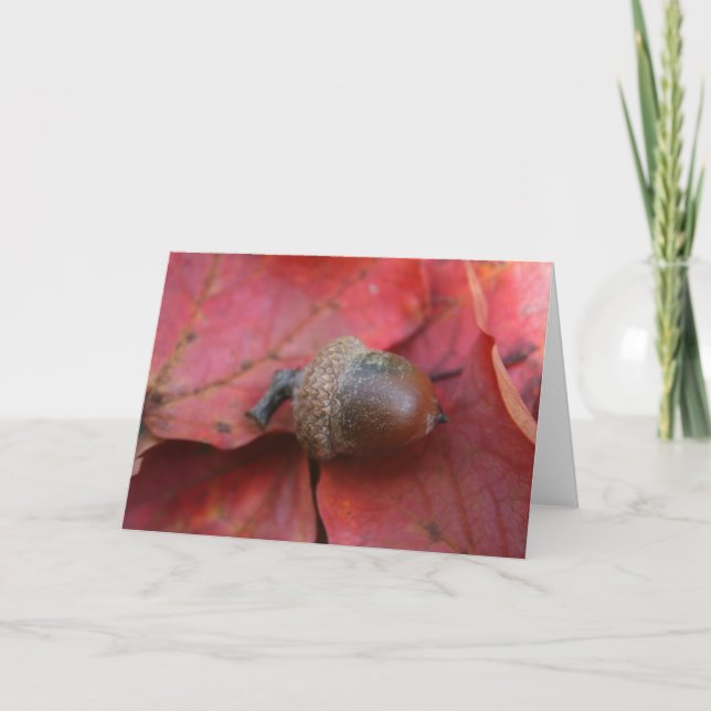 CARTE PROMESSE AUTUMNS (Devant)