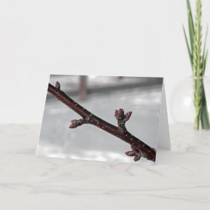 Carte Promesse du printemps