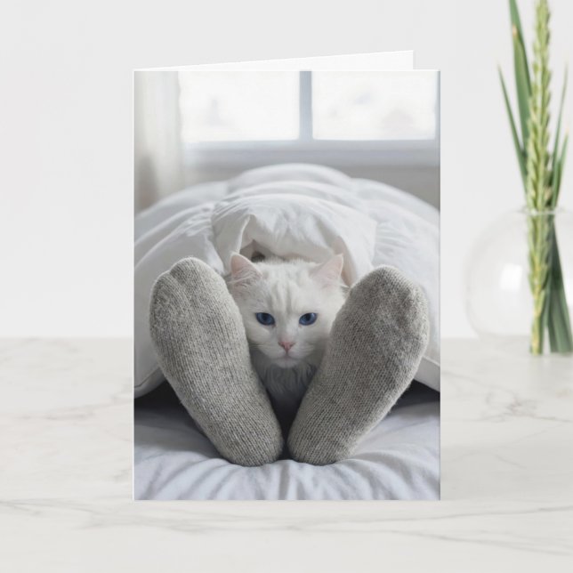 Carte Prompt rétablissement Chat sous une couverture (Devant)